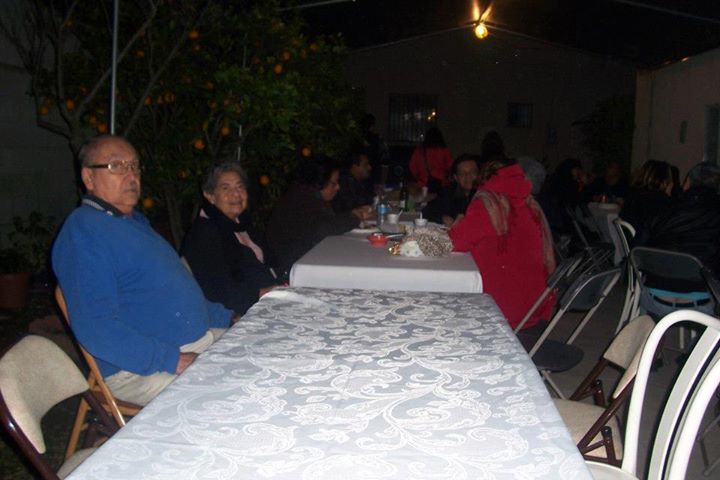 gato2.jpg