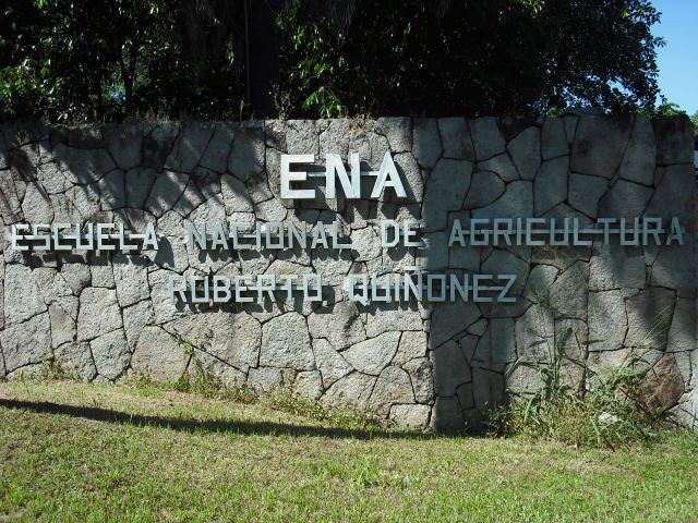 aa_entrada_ena.jpg