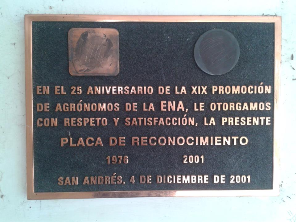 placa_xix.jpg